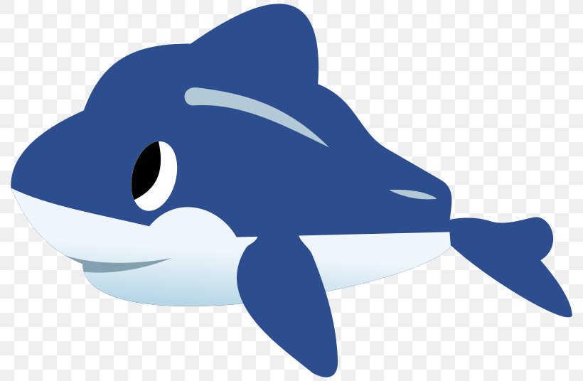 Dolphin Clip Art, PNG, 800x536px, Dolphin, Beak, Cobalt Blue, Common Bottlenose Dolphin, Drawing Download Free