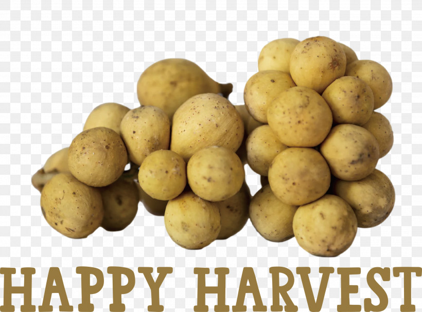 Happy Harvest Harvest Time, PNG, 2999x2222px, Happy Harvest, Cooking, Dish, European Cuisine, Harvest Time Download Free