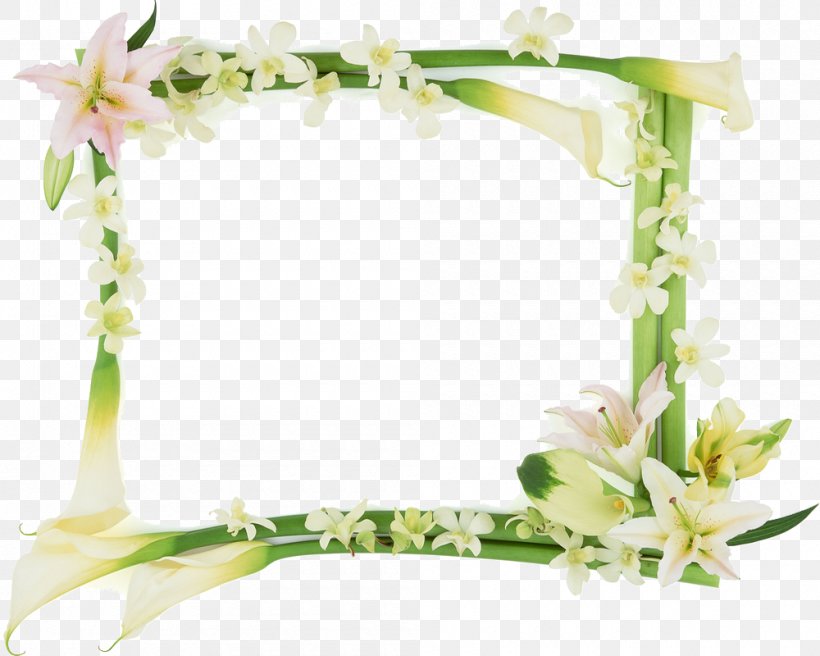 Picture Frames Photography, PNG, 1000x800px, Picture Frames, Art, Child, Cut Flowers, Decorative Arts Download Free