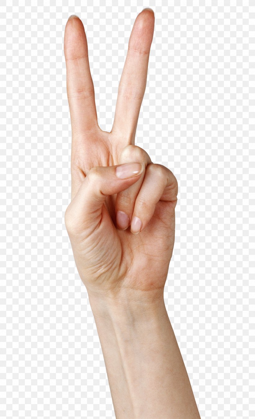 Thumb Hand Gesture, PNG, 2121x3489px, Finger, Arm, Gesture, Hand, Hand Model Download Free