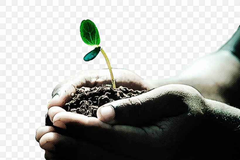 Arbor Day, PNG, 960x642px, Soil, Arbor Day, Finger, Flower, Gesture Download Free