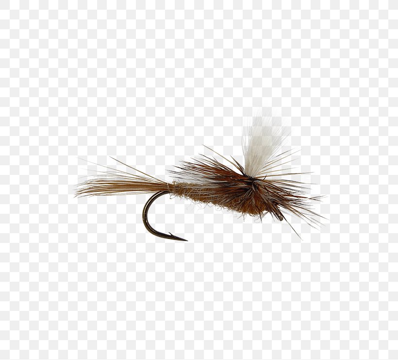 Artificial Fly Hare's Ear Fly Fishing Insect, PNG, 555x741px, Fly, Artificial Fly, Fishing, Fishing Bait, Fishing Baits Lures Download Free