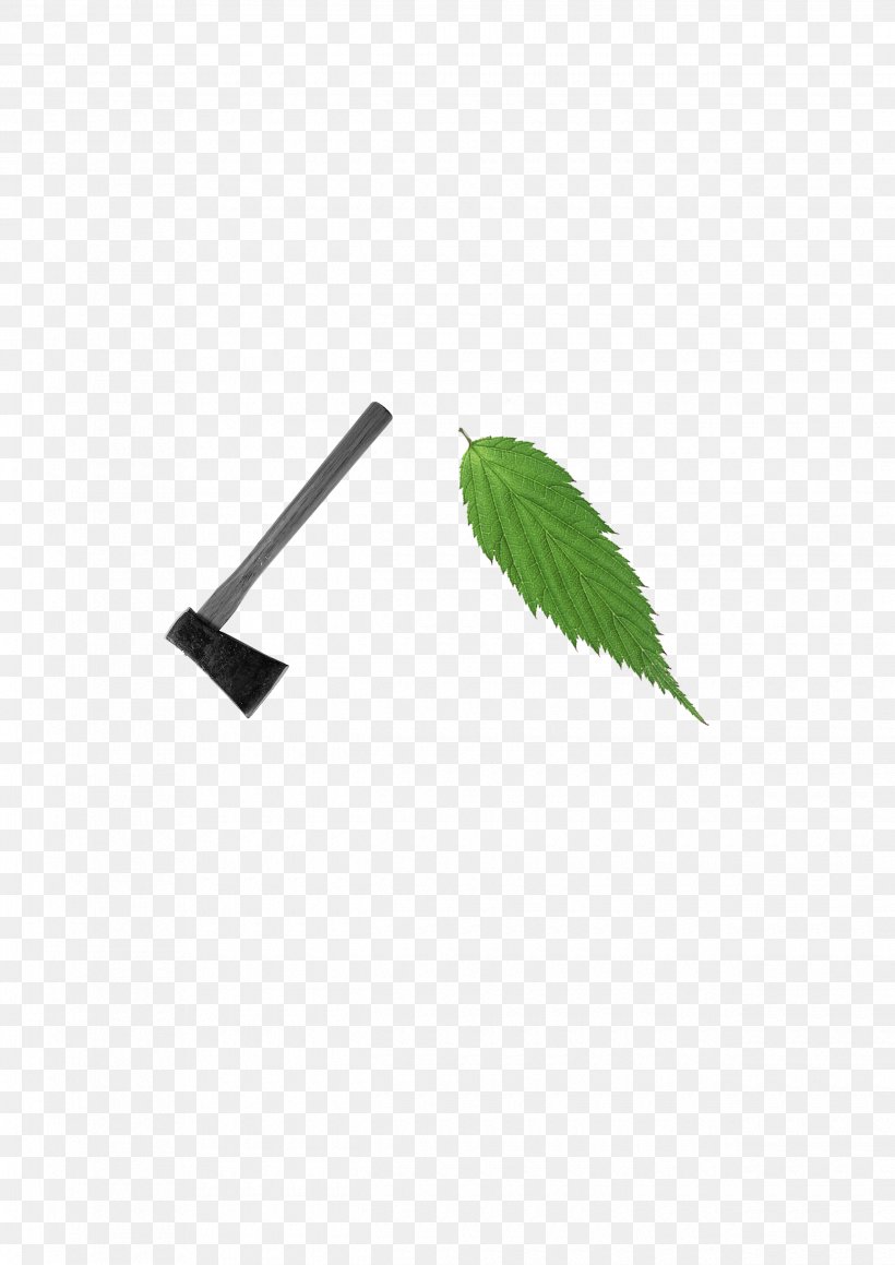 Euclidean Vector Icon, PNG, 2480x3508px, Axe, Grass, Gratis, Green, Leaf Download Free