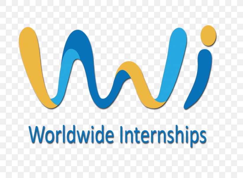 Intern Education Student Full-time Professional, PNG, 800x600px, Intern, Area, Biomedical Sciences, Brand, Business Download Free