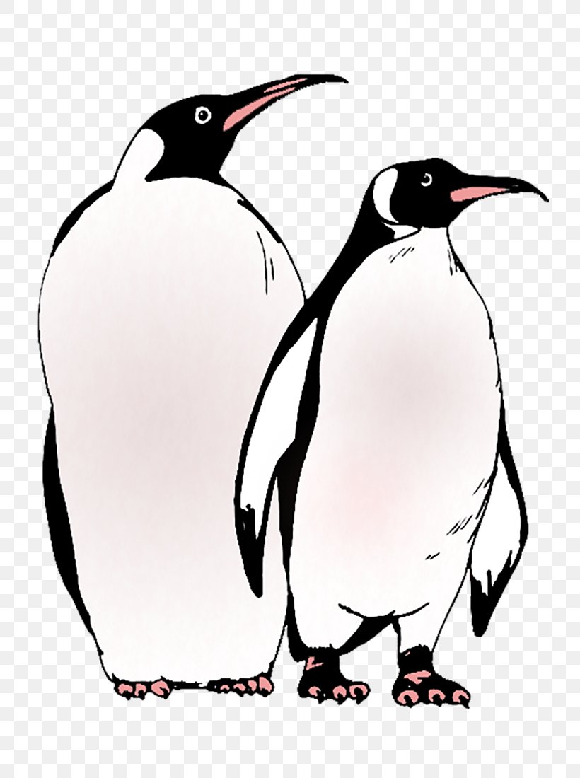 Mr. Popper's Penguins Tom Popper Coloring Book, PNG, 800x1100px, Penguin, Beak, Bird, Black And White, Book Download Free