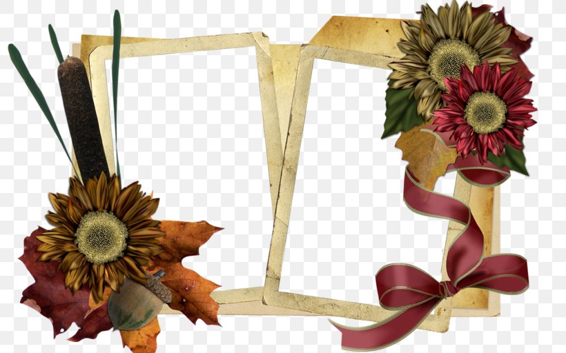 Photography Picture Frames, PNG, 800x512px, Photography, Artificial Flower, Cut Flowers, Decor, Film Frame Download Free