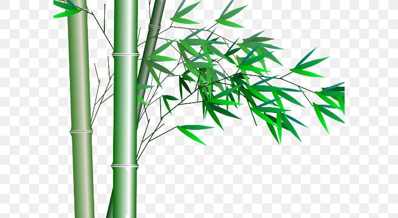 Bamboo Transparency And Translucency, PNG, 600x450px, Bamboo, Computer Graphics, Editing, Energy, Grass Download Free