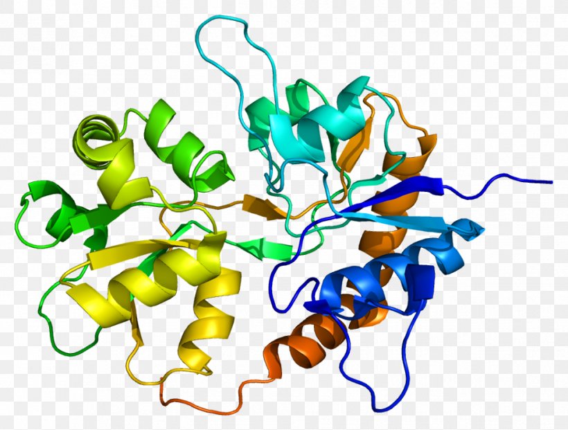 GRIK2 Ionotropic Glutamate Receptor Kainate Receptor GRIK5, PNG, 981x744px, Glutamate Receptor, Artwork, Gene, Ionotropic Glutamate Receptor, Kainate Receptor Download Free