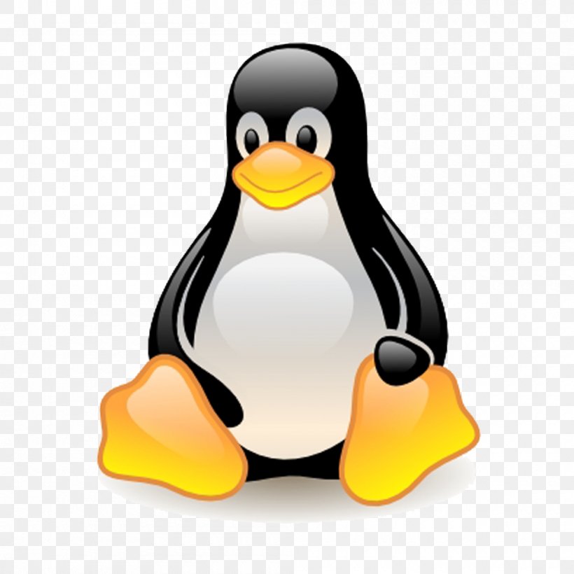 Linux Fedora Unix Operating Systems, PNG, 1000x1000px, Linux, Beak, Bird, Computer Software, Device Mapper Download Free