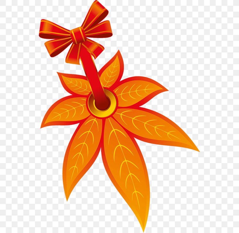 Maple Leaf Яндекс.Фотки Clip Art, PNG, 553x800px, Maple Leaf, Cut Flowers, Flower, Flowering Plant, Fruit Download Free