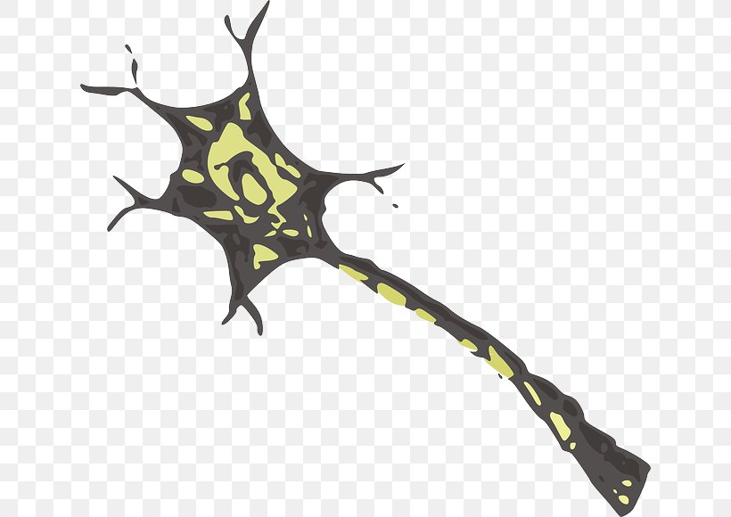 Biologia Celular Y Molecular: Conceptos Y Experimentos Cell Biology Neuron, PNG, 640x580px, Biology, Branch, Cell, Cell Biology, Cell Division Download Free