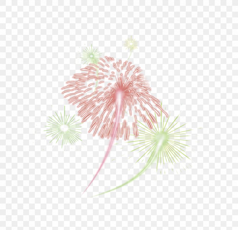 Fireworks Red, PNG, 1756x1696px, Fireworks, Color, Flora, Flower, Flowering Plant Download Free