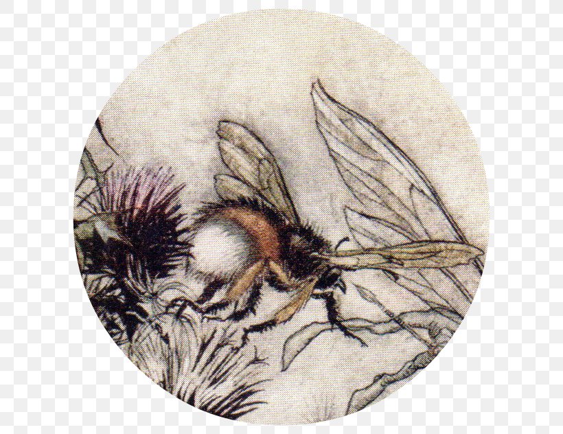 Honey Bee A Midsummer Night's Dream Titania Insect, PNG, 632x632px, Honey Bee, Art, Arthropod, Arthur Rackham, Artist Download Free