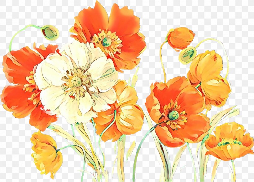 Orange, PNG, 1519x1092px, Cartoon, Cut Flowers, Flower, Flowering Plant, Orange Download Free
