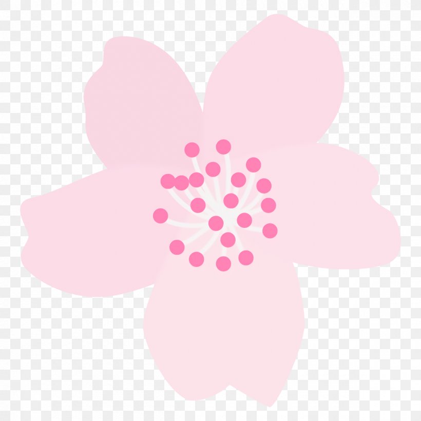 Pink Petal Pattern Flower Plant, PNG, 1200x1200px, Pink, Flower, Magenta, Petal, Plant Download Free