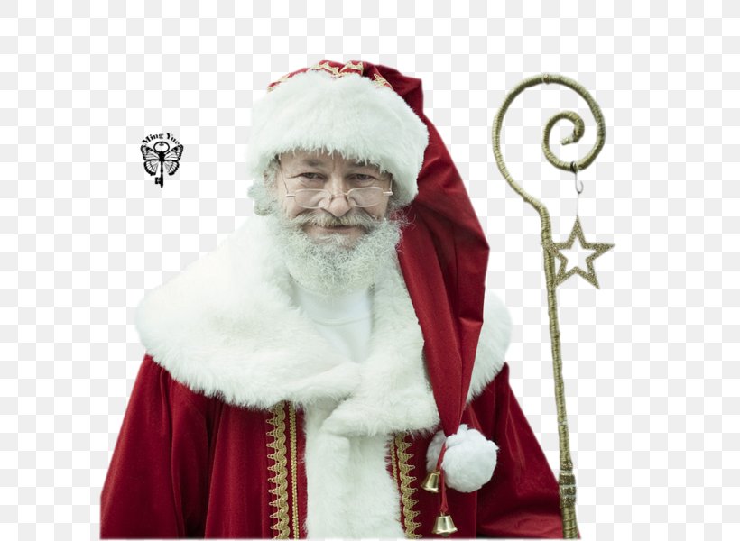 Santa Claus Christmas Day Christmas Ornament Image, PNG, 600x600px, Santa Claus, Blog, Christmas Day, Christmas Ornament, Facial Hair Download Free