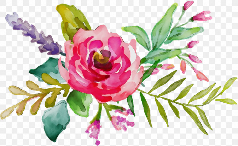 Floral Design, PNG, 1258x772px, Watercolor, Cabbage Rose, Cut Flowers, Floral Design, Flower Download Free