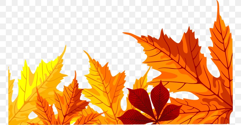 Maple Leaf Clip Art, PNG, 764x426px, Maple Leaf, Autumn, Autumn Leaf Color, Computer, Leaf Download Free