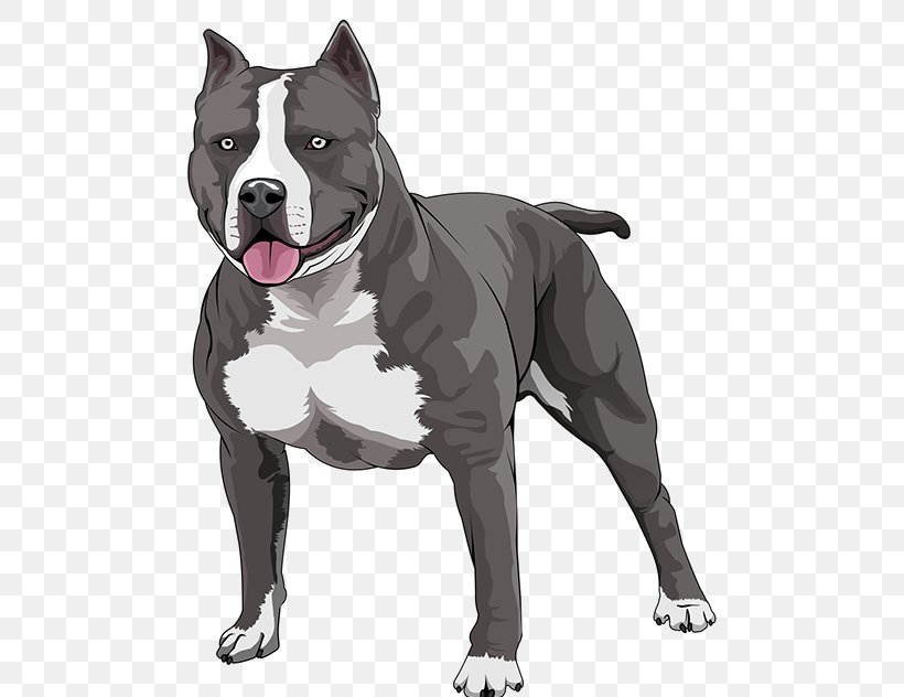American Bulldog, PNG, 808x632px, Tshirt, American Bulldog, American Pit Bull Terrier, American Staffordshire Terrier, Bull And Terrier Download Free