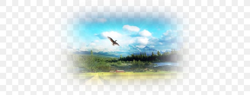 Ascended Master Morya Desktop Wallpaper, PNG, 500x313px, Ascended Master, Bird, Book, Calm, Com Download Free