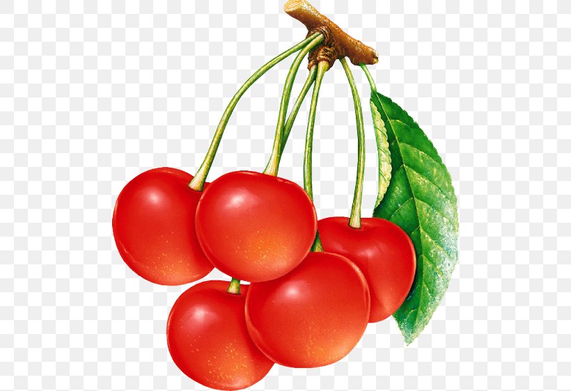 Cherry Clip Art, PNG, 498x562px, Cherry, Bush Tomato, Food, Fruit, Image File Formats Download Free
