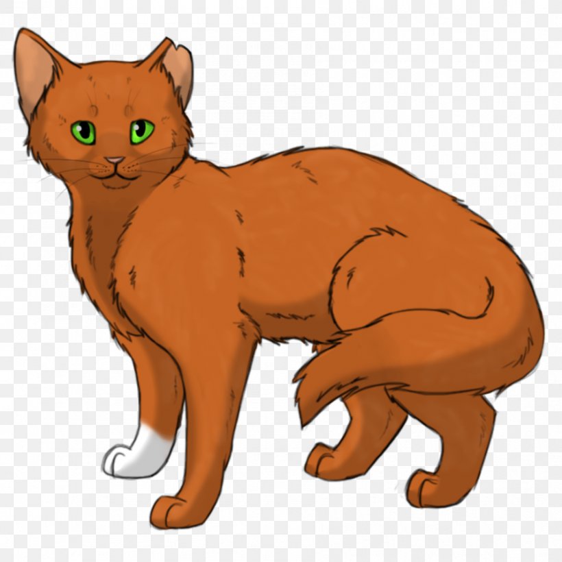 Kitten Whiskers Manx Cat Domestic Short-haired Cat Warriors, PNG, 894x894px, Kitten, Ashfur, Asian, Big Cats, Bluestar Download Free