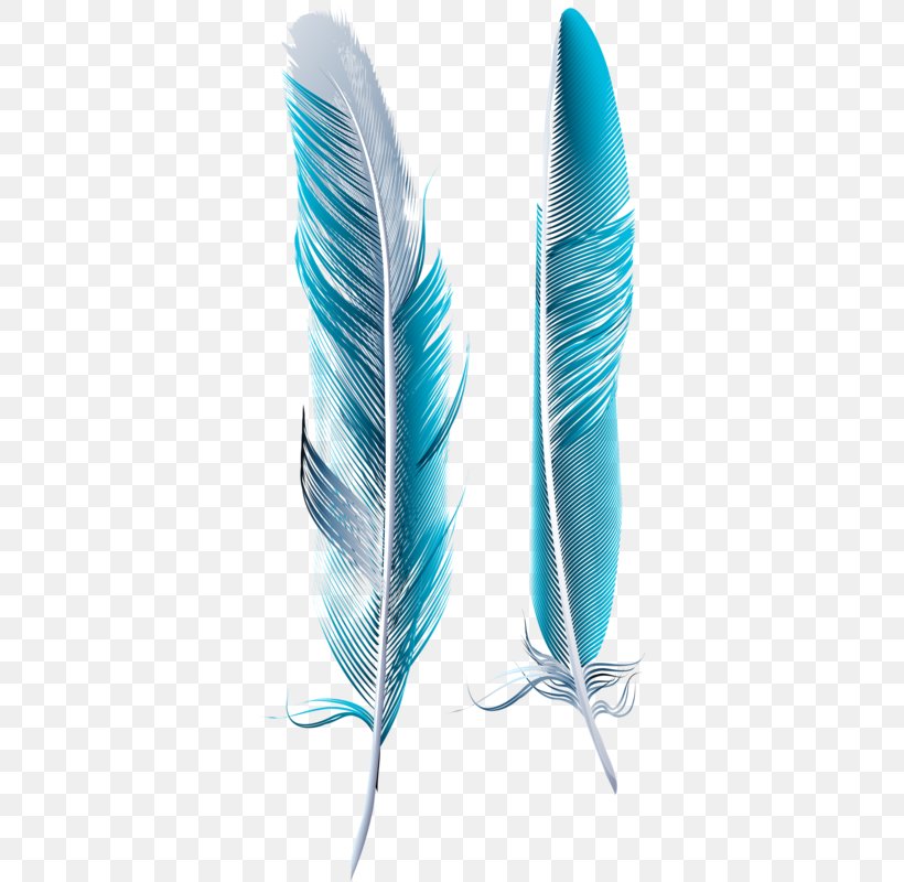 Bird Feather Blue Asiatic Peafowl, PNG, 350x800px, Bird, Aqua, Asiatic Peafowl, Blue, Color Download Free