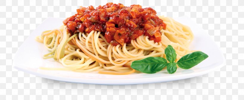 Italian Cuisine Bolognese Sauce Pasta Spaghetti With Meatballs, PNG, 850x350px, Italian Cuisine, Al Dente, Bigoli, Bolognese Sauce, Bucatini Download Free