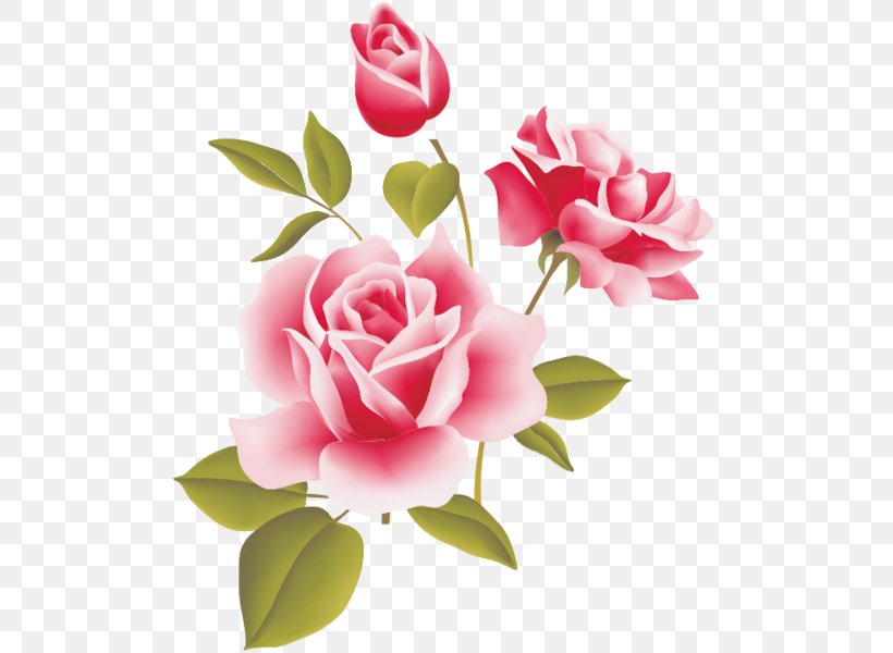 Rose Desktop Wallpaper Clip Art, PNG, 503x600px, Rose, Artificial Flower, Blog, Camellia, Cut Flowers Download Free