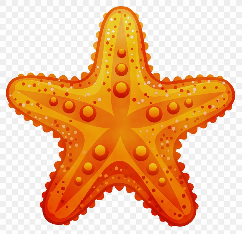 Star Drawing, PNG, 3000x2901px, Starfish, Cartoon, Drawing, Fivepointed Star, Orange Download Free