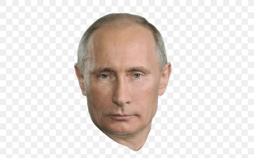 Vladimir Putin President Of Russia President Of The United States, PNG, 512x512px, Vladimir Putin, Barack Obama, Celebrity, Cheek, Chin Download Free