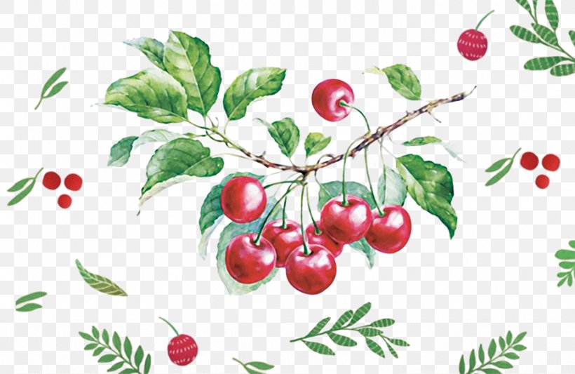 Watercolor Painting Drawing Fruit Illustration, PNG, 923x600px, Watercolor Painting, Aquifoliaceae, Art, Auglis, Berry Download Free