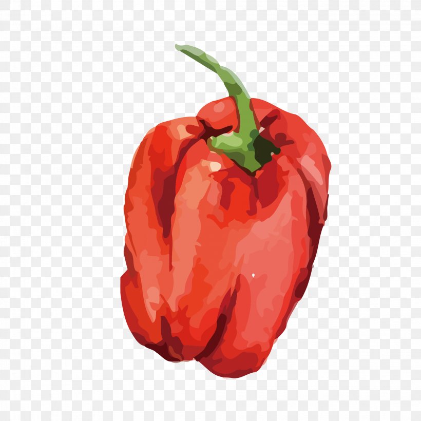 Chili Pepper Vegetable Chili Con Carne Food Bell Pepper, PNG, 2107x2107px, Chili Pepper, Bell Pepper, Bell Peppers And Chili Peppers, Capsicum, Cayenne Pepper Download Free