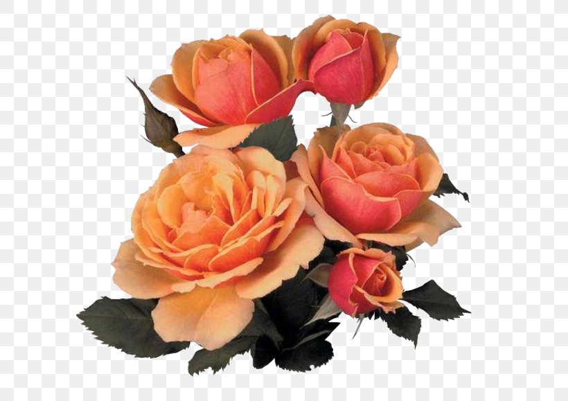 Garden Roses Cabbage Rose Flower Bouquet, PNG, 600x579px, Garden Roses, Animaatio, Artificial Flower, Cabbage Rose, Cut Flowers Download Free