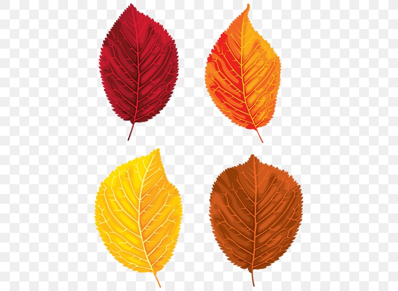 Leaf Clip Art, PNG, 441x600px, Leaf, Art, Autumn, Autumn Leaf Color, Orange Download Free