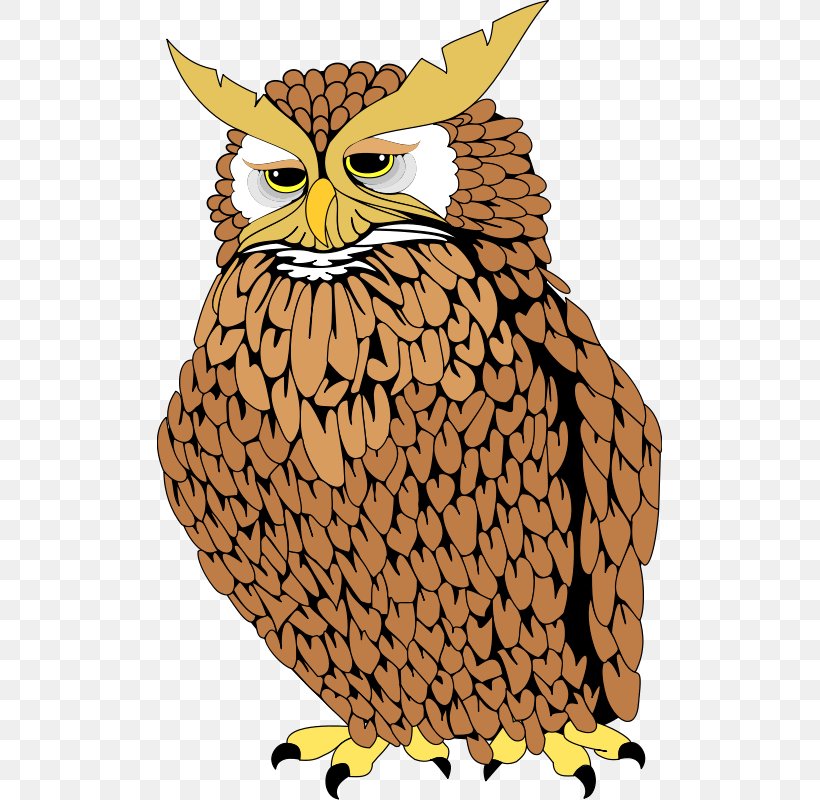 Owl Download Clip Art, PNG, 505x800px, Owl, Beak, Bird, Bird Of Prey, Black And White Download Free