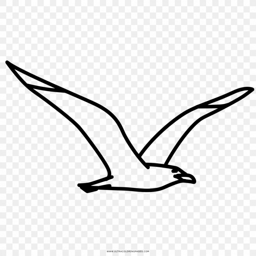 Coloring Book Drawing Gulls Kyanite, PNG, 1000x1000px, Coloring Book, Area, Beak, Bird, Black Download Free
