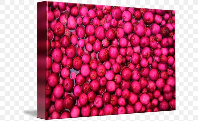 Cranberry Imagekind Business Common Lilly Pilly Art, PNG, 650x504px, Cranberry, Affiliate Marketing, Art, Australian Cuisine, Berry Download Free