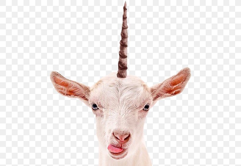 Goat Milk Stock Photography, PNG, 480x565px, Goat, Cow Goat Family, Fotolia, Glass, Goat Antelope Download Free