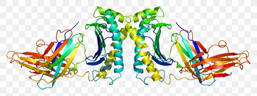 HFE Gene Wiki Hemochromatosis Protein, PNG, 994x374px, Hfe, Art, Dna, Ferritin, Gene Download Free