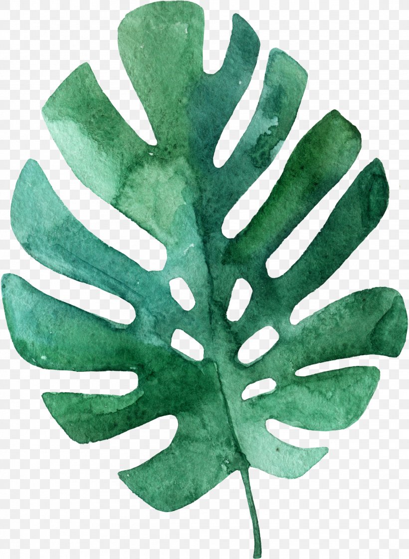 Leaf Tropics Drawing Palm Branch, PNG, 2184x2984px, Leaf, Arecaceae, Drawing, Organism, Painting Download Free