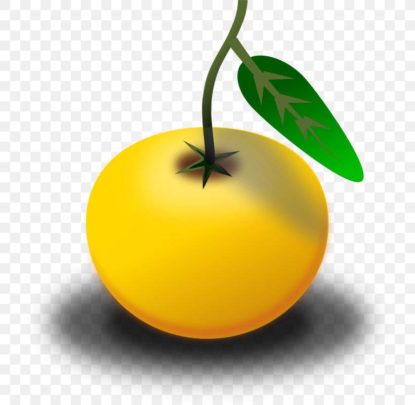 Orange Juice Clip Art, PNG, 769x800px, Juice, Apple, Citrus, Food, Fruit Download Free