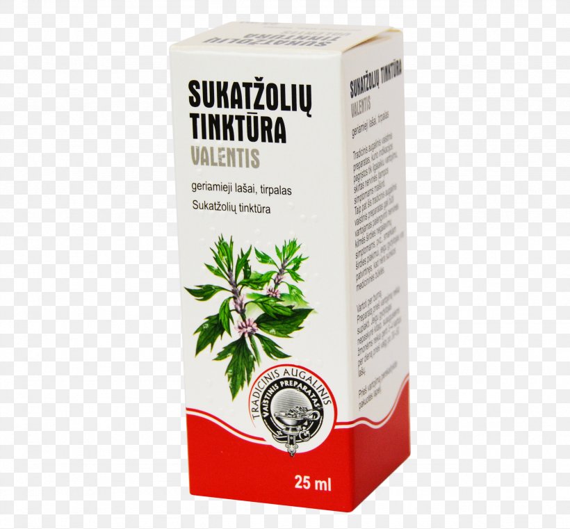 Solution Tincture Leonurus Herb Plants, PNG, 2561x2378px, Solution, Heart, Herb, Herbal, Leonurus Download Free