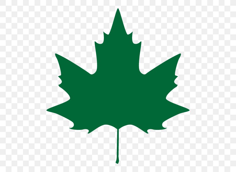 Stock Photography Illustration Leaf Vector Graphics Maple, PNG, 600x600px, Stock Photography, Alamy, Drawing, Flag Of Canada, Flowering Plant Download Free