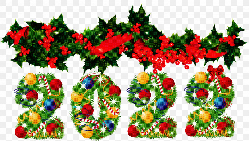 2022 Happy New Year 2022 New Year 2022, PNG, 3000x1694px, Christmas Day, Bauble, Biology, Christmas Ornament M, Flower Download Free