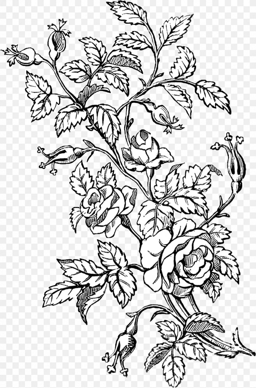 Abziehtattoo Flower Tattoo Ink Rose, PNG, 1188x1800px, Tattoo, Abziehtattoo, Antique, Art, Black And White Download Free