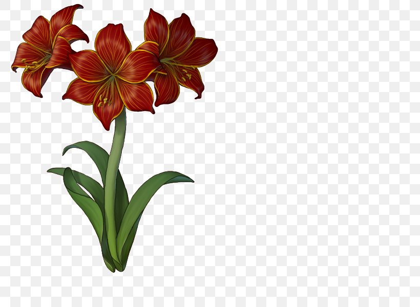 Drawing Of Family, PNG, 800x600px, Jersey Lily, Amaryllis, Amaryllis Belladonna, Amaryllis Family, Botany Download Free