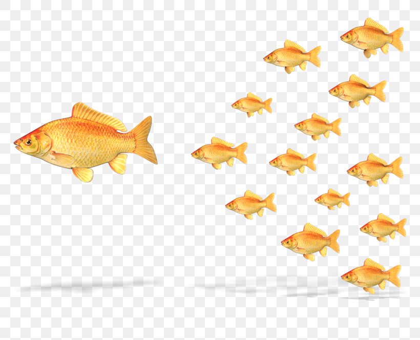 Leadership Authority Project Clip Art, PNG, 800x664px, Leadership, Animal Figure, Authority, Bony Fish, Business Download Free