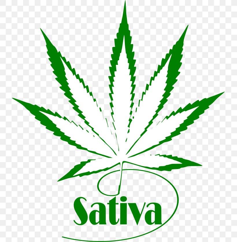 T-shirt Hoodie Cannabis Sativa Hoidised, PNG, 737x836px, Tshirt, Cannabis, Cannabis Sativa, Counterstrike, Counterstrike Global Offensive Download Free