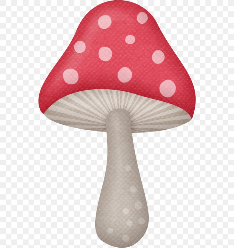 Drawing Fungus Animation Photography, PNG, 552x870px, Drawing, Animation, Art, Fungus, Lamp Download Free